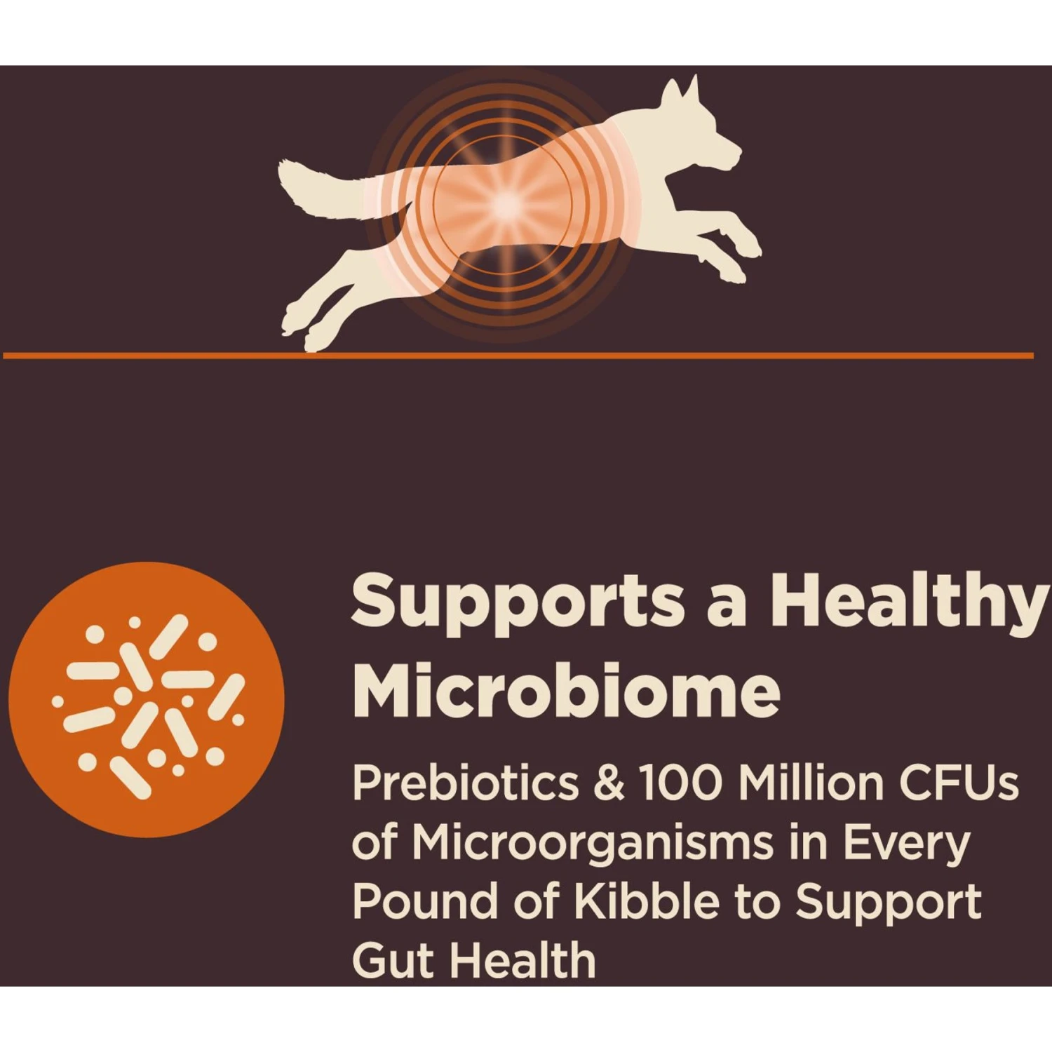 Wellness CORE Digestive Health Wholesome Grains Chicken & Brown Rice Recipe Dry Dog Food 5 Wellness CORE Digestive Health Wholesome Grains Chicken & Brown Rice Recipe Dry Dog Food - Image 5