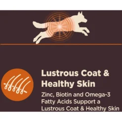 Wellness CORE Digestive Health Wholesome Grains Chicken & Brown Rice Recipe Dry Dog Food 14 Wellness CORE Digestive Health Wholesome Grains Chicken & Brown Rice Recipe Dry Dog Food -Pawsphoria Sales Store 264874 PT5. AC SS1800 V1608691349
