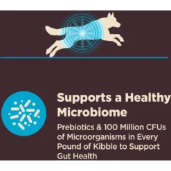 Wellness CORE Digestive Health Wholesome Grains Whitefish & Brown Rice Recipe Dry Dog Food -Pawsphoria Sales Store 264880 PT4. AC SS1800 V1608692599