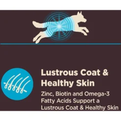 Wellness CORE Digestive Health Wholesome Grains Whitefish & Brown Rice Recipe Dry Dog Food -Pawsphoria Sales Store 264880 PT5. AC SS1800 V1608680576