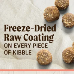 Merrick Healthy Grains Raw-Coated Kibble Real Salmon + Brown Rice Recipe Freeze-Dried Dry Dog Food -Pawsphoria Sales Store 265204 PT3. AC SS1800 V1673561272