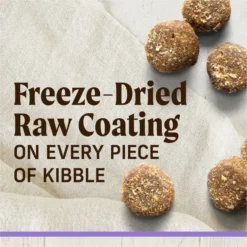 Merrick Healthy Grains Raw-Coated Kibble Puppy Recipe Freeze-Dried Dry Dog Food -Pawsphoria Sales Store 265208 PT3. AC SS1800 V1673561196