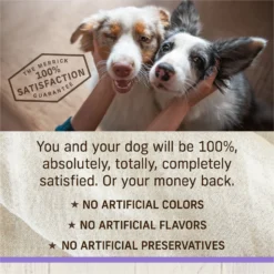 Merrick Healthy Grains Raw-Coated Kibble Puppy Recipe Freeze-Dried Dry Dog Food -Pawsphoria Sales Store 265208 PT7. AC SS1800 V1673561192