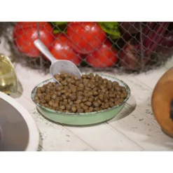 Dr. Gary's Best Breed Holistic Salmon With Vegetables & Herbs Dry Dog Food -Pawsphoria Sales Store 265413 PT2. AC SS1800 V1609891057