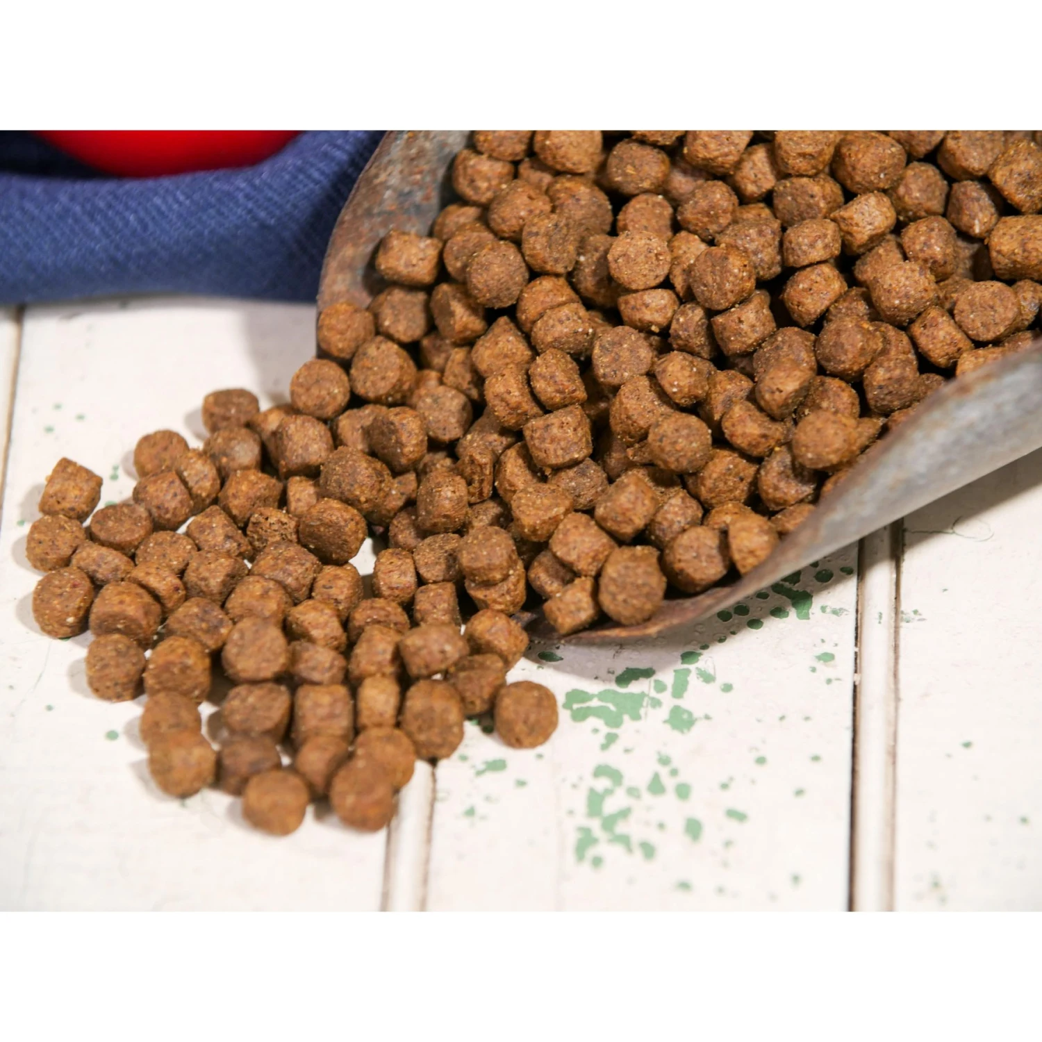 Dr. Gary's Best Breed Holistic Grain-Free Salmon With Fruits & Vegetables Dry Dog Food 3 Dr. Gary's Best Breed Holistic Grain-Free Salmon With Fruits & Vegetables Dry Dog Food - Image 3