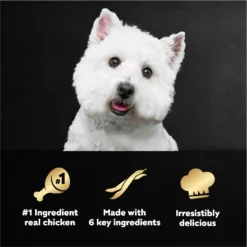 Cesar Simply Crafted Chicken, Duck, Purple Potatoes, Pumpkin, Green Beans & Brown Rice Adult Wet Dog Food Meal Topper -Pawsphoria Sales Store 265562 PT7. AC SS1800 V1695738936