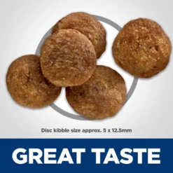 Hill's Science Diet Adult Perfect Digestion Salmon Dry Dog Food -Pawsphoria Sales Store 266825 PT3. AC SS1800 V1614208595