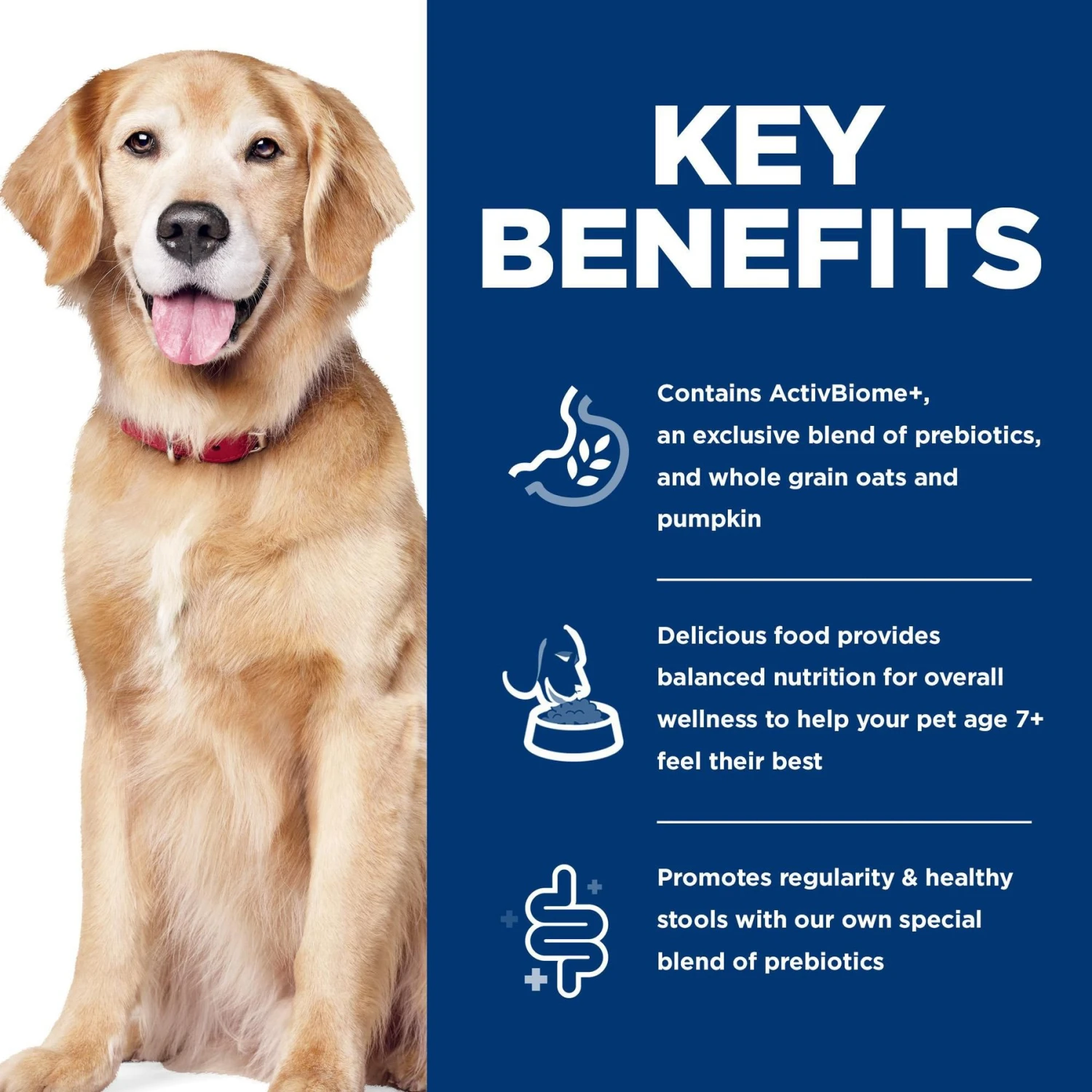 Hill's Science Diet Adult 7+ Perfect Digestion Chicken Dry Dog Food 6 Hill's Science Diet Adult 7+ Perfect Digestion Chicken Dry Dog Food - Image 6