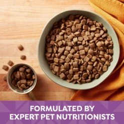 Nature's Recipe Adult Lamb, Barley & Brown Rice Recipe Dry Dog Food 12 Nature's Recipe Adult Lamb, Barley & Brown Rice Recipe Dry Dog Food -Pawsphoria Sales Store 266854 PT3. AC SS1800 V1672851234