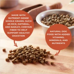 Nature's Recipe Adult Lamb, Barley & Brown Rice Recipe Dry Dog Food 14 Nature's Recipe Adult Lamb, Barley & Brown Rice Recipe Dry Dog Food -Pawsphoria Sales Store 266854 PT5. AC SS1800 V1612219339