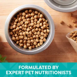 Nature's Recipe Easy-To-Digest Chicken, Brown Rice & Barley Recipe Dry Dog Food -Pawsphoria Sales Store 266858 PT3. AC SS1800 V1672851236