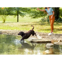 Nature's Recipe Easy-To-Digest Chicken, Brown Rice & Barley Recipe Dry Dog Food -Pawsphoria Sales Store 266858 PT5. AC SS1800 V1610419992