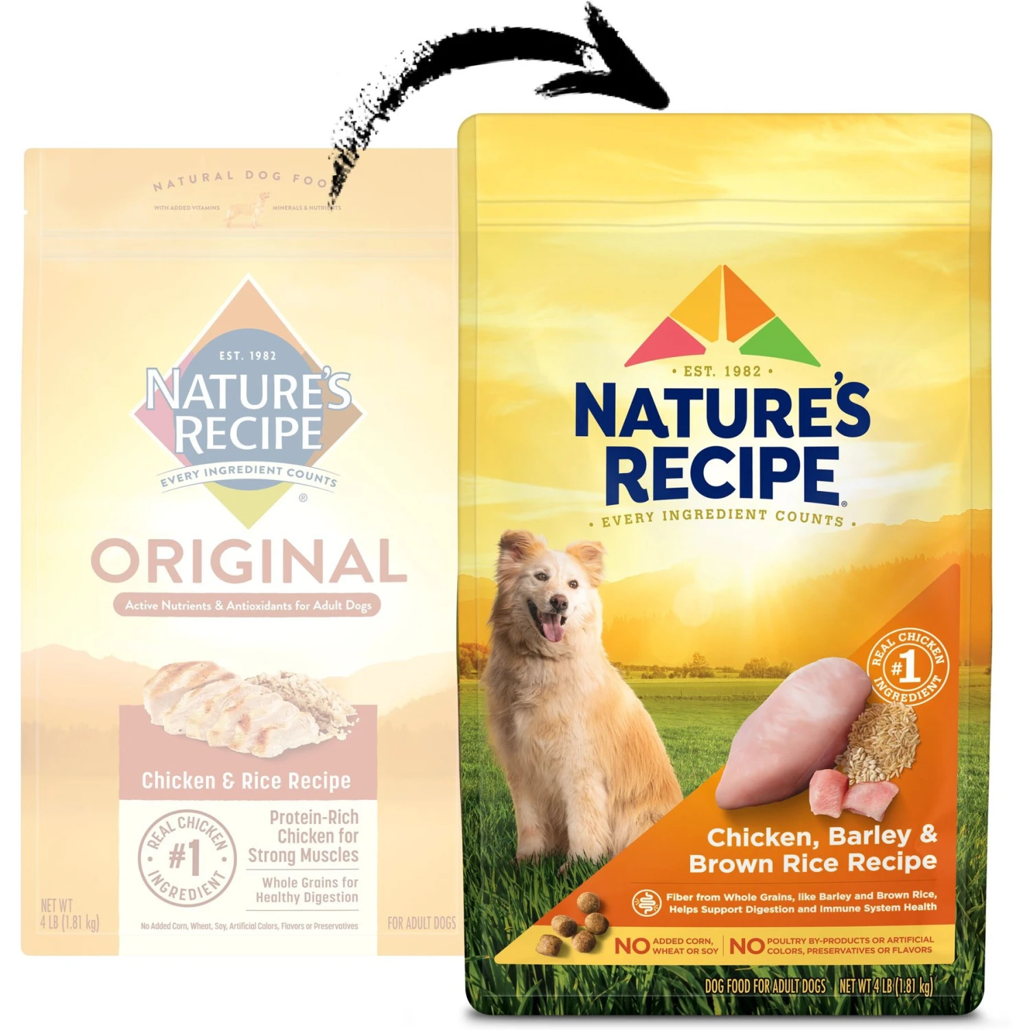 Nature's Recipe Adult Chicken, Barley & Brown Rice Recipe Dry Dog Food 2 Nature's Recipe Adult Chicken, Barley & Brown Rice Recipe Dry Dog Food - Image 2
