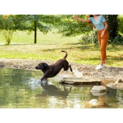 Nature's Recipe Adult Chicken, Barley & Brown Rice Recipe Dry Dog Food 14 Nature's Recipe Adult Chicken, Barley & Brown Rice Recipe Dry Dog Food -Pawsphoria Sales Store 266861 PT5. AC SS1800 V1612219040