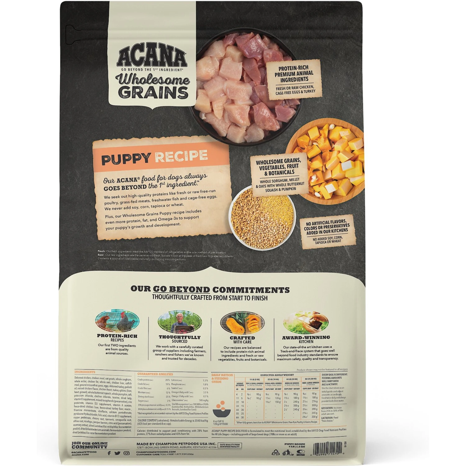 ACANA Wholesome Grains Puppy Recipe Dry Dog Food 2 ACANA Wholesome Grains Puppy Recipe Dry Dog Food - Image 2