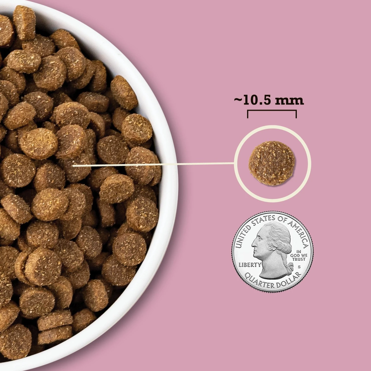 ACANA Wholesome Grains Small Breed Recipe Dry Dog Food 6 ACANA Wholesome Grains Small Breed Recipe Dry Dog Food - Image 6