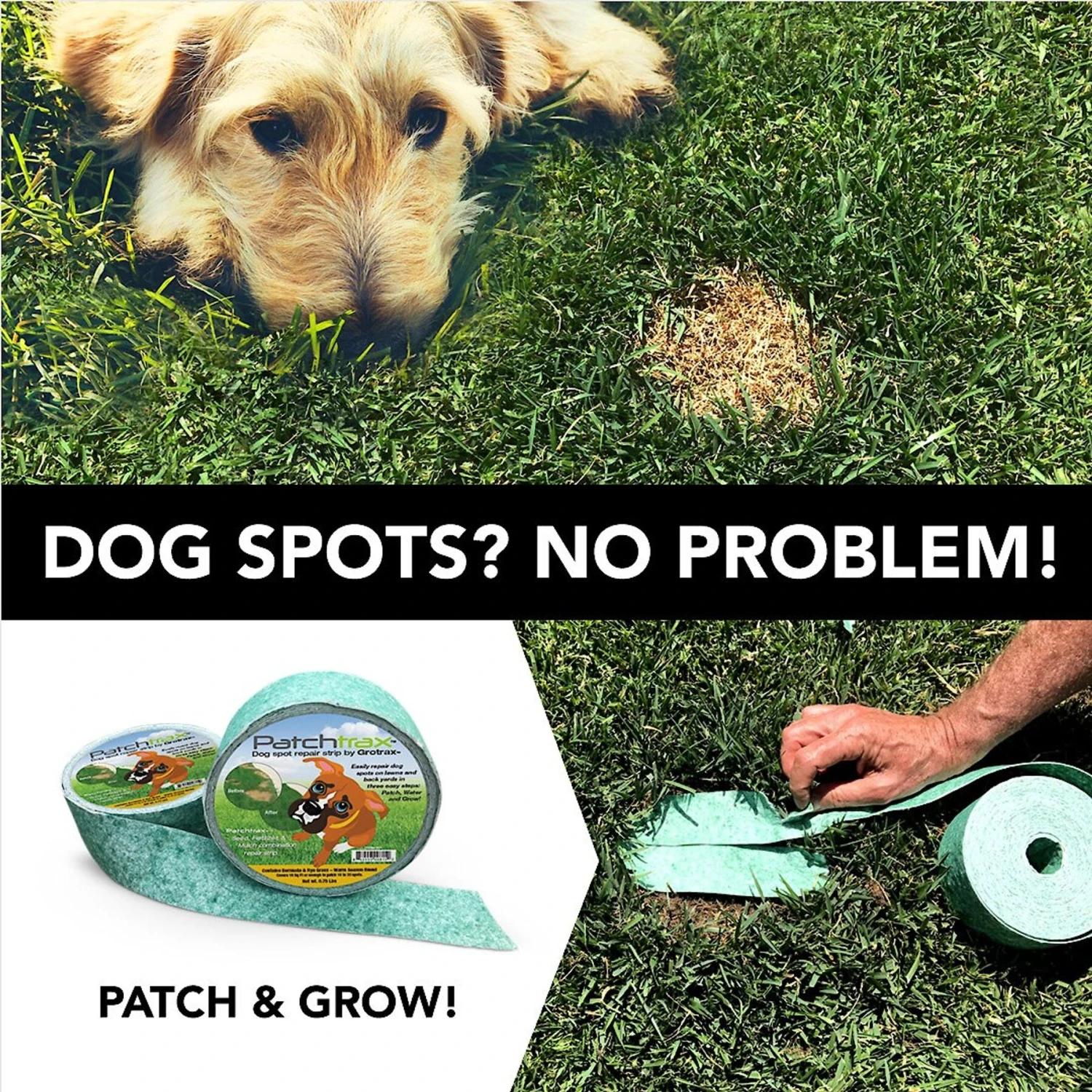 Patchtrax Warm Season Blend Dog Spot Repair Strip 2 Patchtrax Warm Season Blend Dog Spot Repair Strip - Image 2