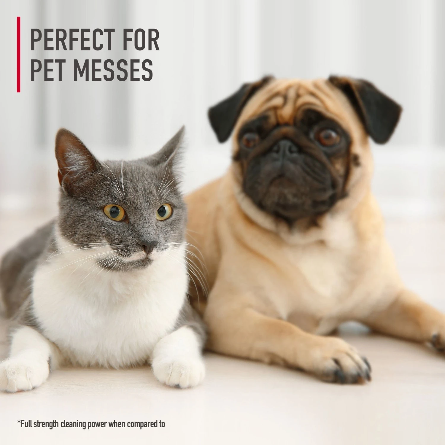 Hoover Paws & Claws Spot & Stain Remover Pre-Mixed Carpet Cleaning Formula, 32-oz Bottle 3 Hoover Paws & Claws Spot & Stain Remover Pre-Mixed Carpet Cleaning Formula, 32-oz Bottle - Image 3