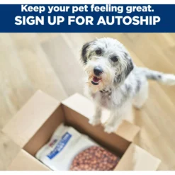 Hill's Prescription Diet Derm Complete Dry Dog Food 17 Hill's Prescription Diet Derm Complete Dry Dog Food -Pawsphoria Sales Store 269084 PT8. AC SS1800 V1651764120