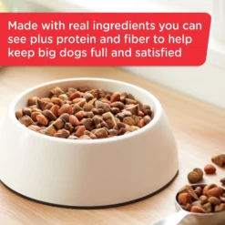 Rachael Ray Nutrish Big Life Large Breed Hearty Beef, Veggies & Brown Rice Recipe Dry Dog Food -Pawsphoria Sales Store 269171 PT3. AC SS1800 V1652768798