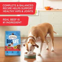 Rachael Ray Nutrish Big Life Large Breed Hearty Beef, Veggies & Brown Rice Recipe Dry Dog Food -Pawsphoria Sales Store 269171 PT4. AC SS1800 V1652740612