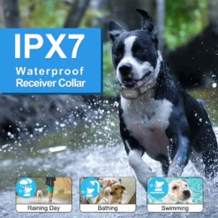 PATPET P680 Lightweight Remote Dog Training Collar -Pawsphoria Sales Store 271508 PT3. AC SS1800 V1617319314