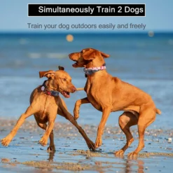 PATPET P680 Lightweight Remote Dog Training Collar -Pawsphoria Sales Store 271508 PT5. AC SS1800 V1617329876