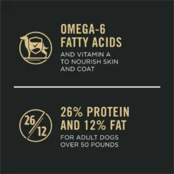 Purina Pro Plan Specialized Beef & Rice Formula High Protein Large Breed Dry Dog Food 15 Purina Pro Plan Specialized Beef & Rice Formula High Protein Large Breed Dry Dog Food -Pawsphoria Sales Store 271625 PT6. AC SS1800 V1649195818