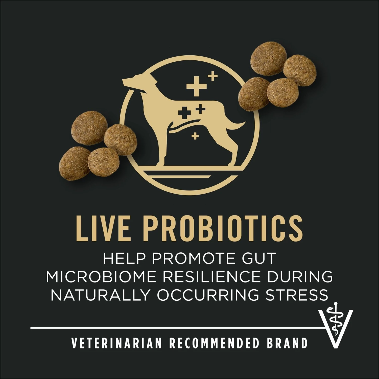 Purina Pro Plan Specialized Beef & Rice Formula High Protein Large Breed Dry Dog Food 9 Purina Pro Plan Specialized Beef & Rice Formula High Protein Large Breed Dry Dog Food - Image 9