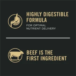 Purina Pro Plan Development Beef & Rice Formula High Protein Large Breed Dry Puppy Food -Pawsphoria Sales Store 271628 PT7. AC SS1800 V1649226992