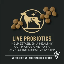 Purina Pro Plan Development Beef & Rice Formula High Protein Large Breed Dry Puppy Food -Pawsphoria Sales Store 271628 PT8. AC SS1800 V1649197937
