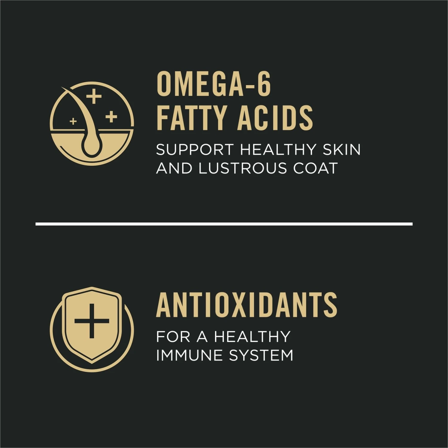 Purina Pro Plan Sensitive Skin & Stomach Adult With Probiotics Turkey & Oat Meal Formula High Protein Dry Dog Food 5 Purina Pro Plan Sensitive Skin & Stomach Adult With Probiotics Turkey & Oat Meal Formula High Protein Dry Dog Food - Image 5