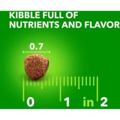 Iams Lamb & Rice Recipe Large Breed Dry Dog Food -Pawsphoria Sales Store 272308 PT7. AC SS1800 V1667864999