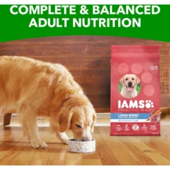 Iams Lamb & Rice Recipe Large Breed Dry Dog Food -Pawsphoria Sales Store 272308 PT8. AC SS1800 V1667865461
