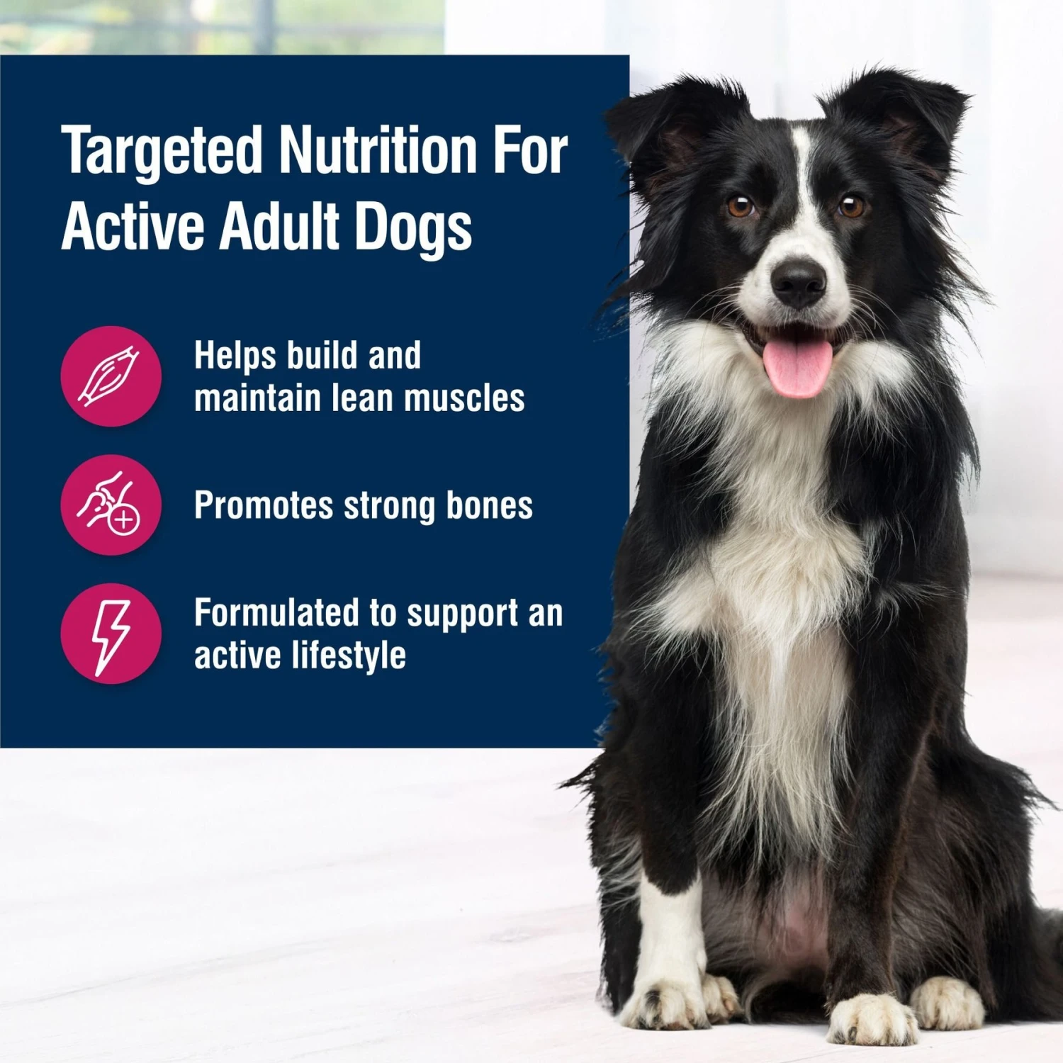 Blue Buffalo True Solutions Top Form Active Breed Wholesome Grains Adult Wet Dog Food, 12.5-oz Can, Case Of 12 3 Blue Buffalo True Solutions Top Form Active Breed Wholesome Grains Adult Wet Dog Food, 12.5-oz Can, Case Of 12 - Image 3