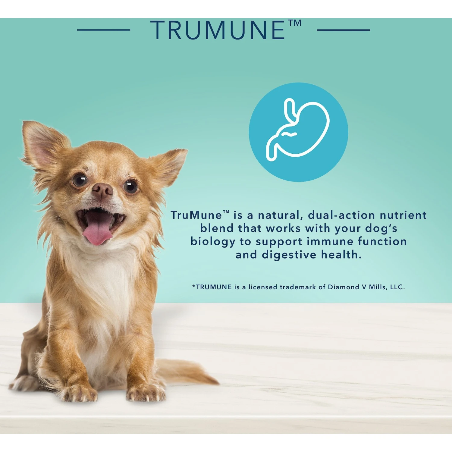 Blue Buffalo True Solutions Small & Mighty Small Breed Formula Adult Wet Dog Food, 5.5-oz Can, Case Of 24 6 Blue Buffalo True Solutions Small & Mighty Small Breed Formula Adult Wet Dog Food, 5.5-oz Can, Case Of 24 - Image 6