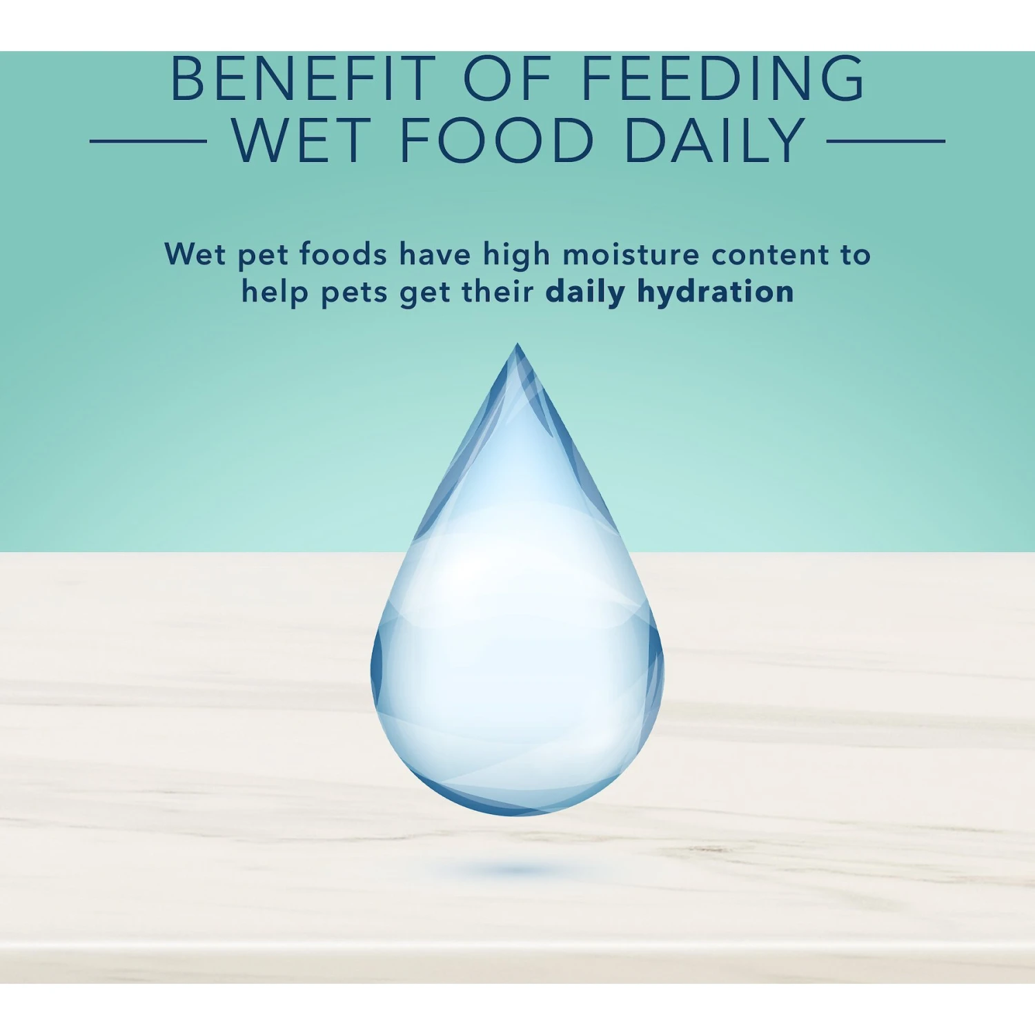 Blue Buffalo True Solutions Small & Mighty Small Breed Formula Adult Wet Dog Food, 5.5-oz Can, Case Of 24 7 Blue Buffalo True Solutions Small & Mighty Small Breed Formula Adult Wet Dog Food, 5.5-oz Can, Case Of 24 - Image 7