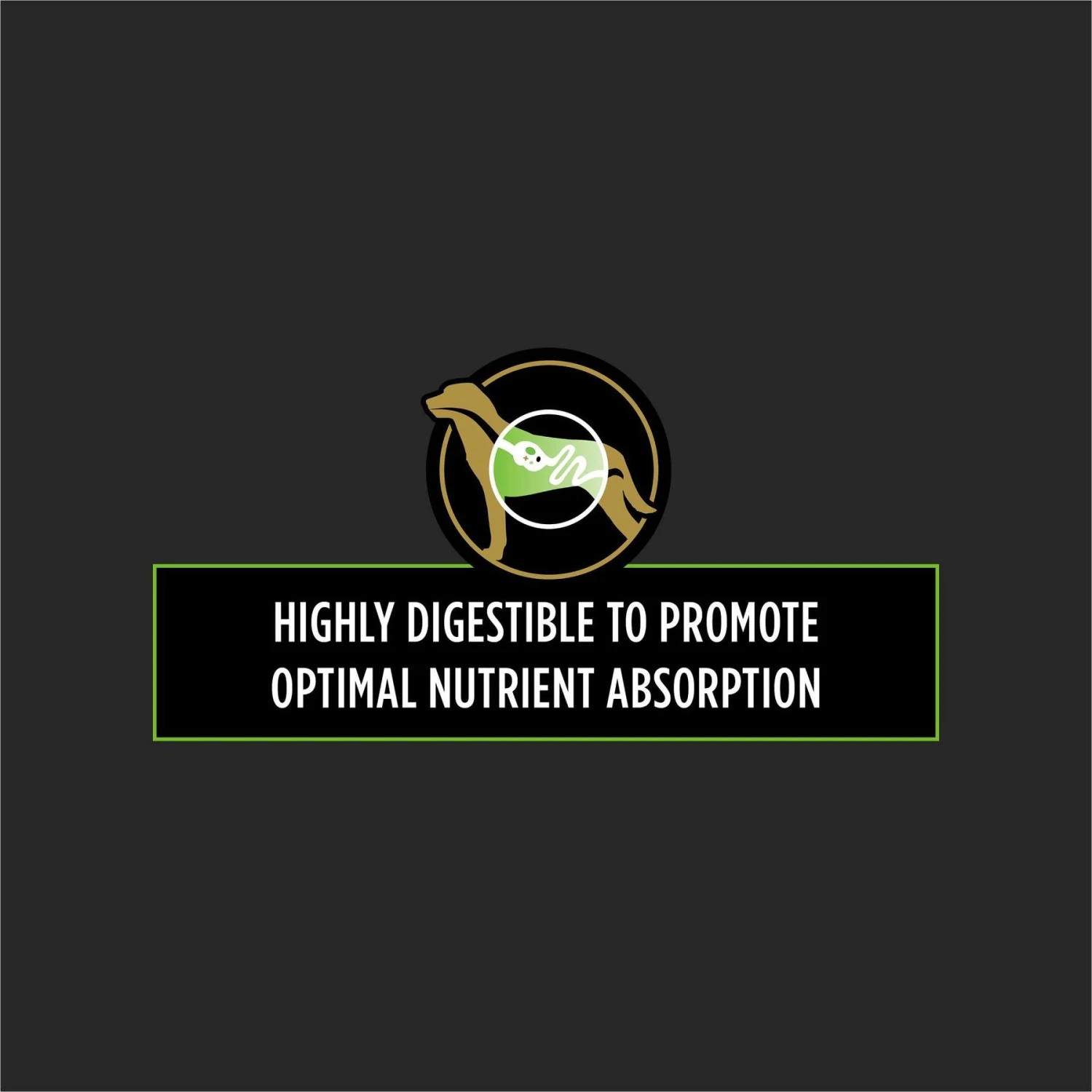 Purina Pro Plan Veterinary Diets HA Hydrolyzed Salmon Flavor Dry Dog Food 6 Purina Pro Plan Veterinary Diets HA Hydrolyzed Salmon Flavor Dry Dog Food - Image 6