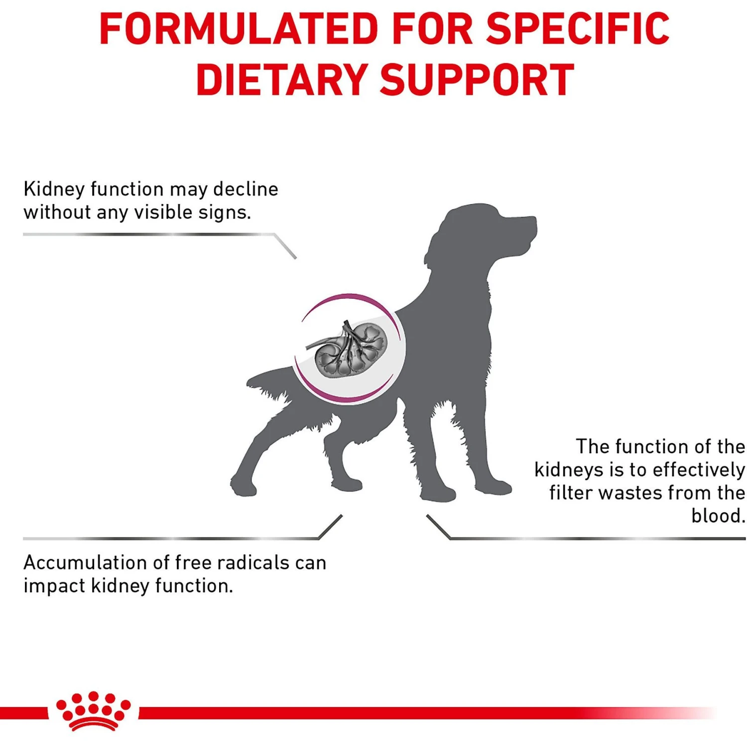 Royal Canin Veterinary Diet Renal Support Early Consult Dry Dog Food 3 Royal Canin Veterinary Diet Renal Support Early Consult Dry Dog Food - Image 3