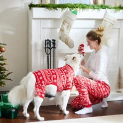 Frisco Holiday Fair Isle Polar Fleece Unisex Adult Pajama Pants -Pawsphoria Sales Store 276603 PT8. AC SS1800 V1631659441