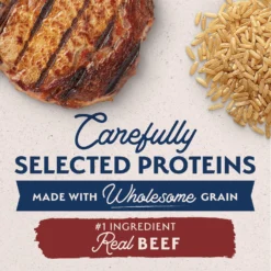 Natural Balance Limited Ingredient Beef & Brown Rice Recipe Dry Dog Food -Pawsphoria Sales Store 277101 PT3. AC SS1800 V1652124386