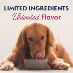 Natural Balance Limited Ingredient Reserve Grain-Free Sweet Potato & Venison Recipe Dry Dog Food 15 Natural Balance Limited Ingredient Reserve Grain-Free Sweet Potato & Venison Recipe Dry Dog Food -Pawsphoria Sales Store 280096 PT8. AC SS1800 V1652123214