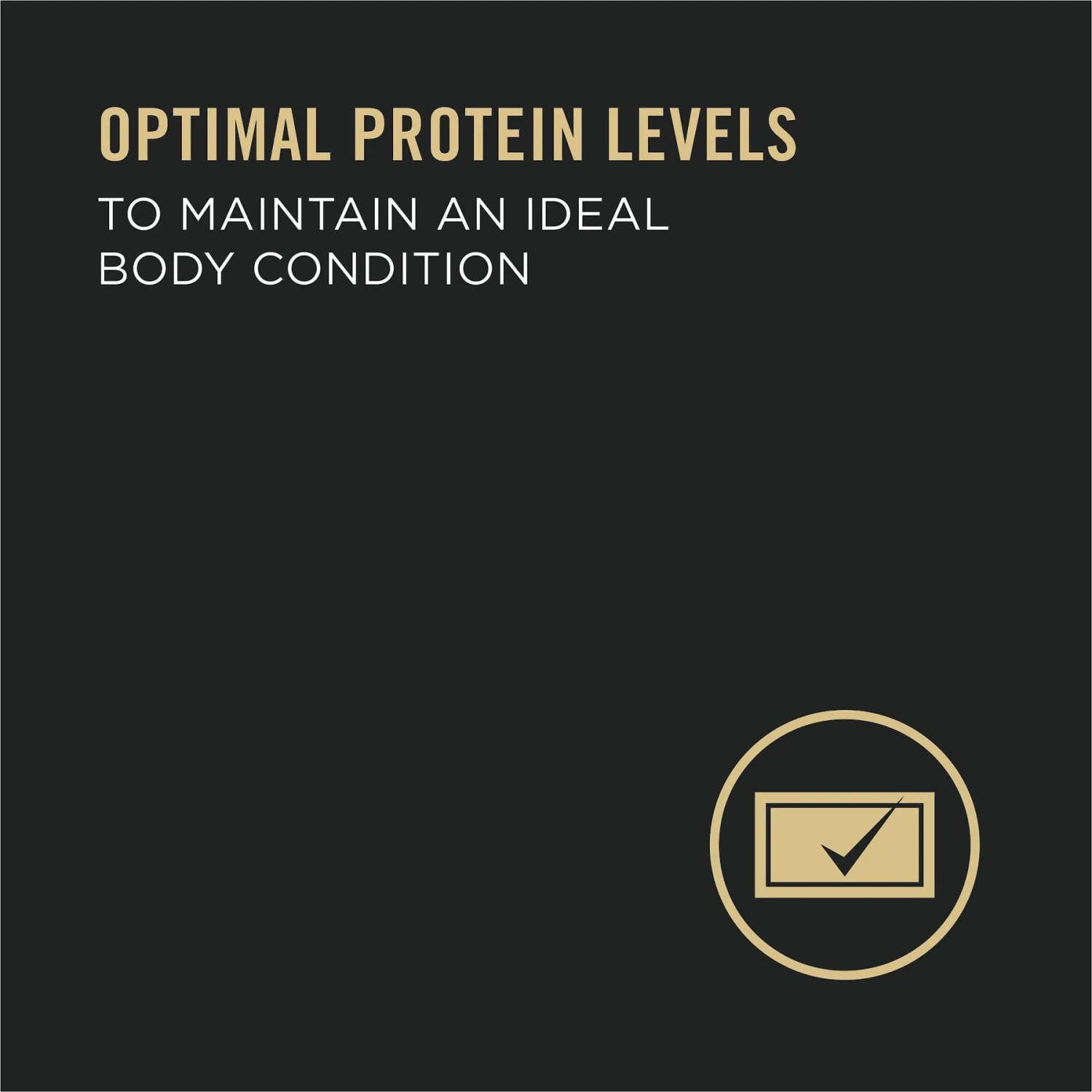 Purina Pro Plan Adult 7+ Complete Essentials Turkey & Rice Entree Wet Dog Food, 13-oz Can, Case Of 12 4 Purina Pro Plan Adult 7+ Complete Essentials Turkey & Rice Entree Wet Dog Food, 13-oz Can, Case Of 12 - Image 4