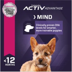 Eukanuba Puppy Small Breed Dry Dog Food 10 Eukanuba Puppy Small Breed Dry Dog Food -Pawsphoria Sales Store 282286 PT4. AC SS1800 V1618928531