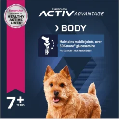 Eukanuba Senior Small Breed Dry Dog Food -Pawsphoria Sales Store 282287 PT4. AC SS1800 V1677167291