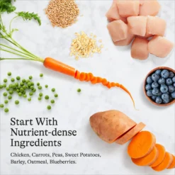 American Journey Chicken & Vegetables Recipe Canned Dog Food -Pawsphoria Sales Store 286573 PT6. AC SS1800 V1696608381