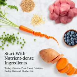 American Journey Turkey & Vegetables Recipe Canned Dog Food -Pawsphoria Sales Store 286579 PT6. AC SS1800 V1696608383