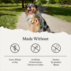 American Journey Turkey & Vegetables Recipe Canned Dog Food -Pawsphoria Sales Store 286579 PT7. AC SS1800 V1696608329