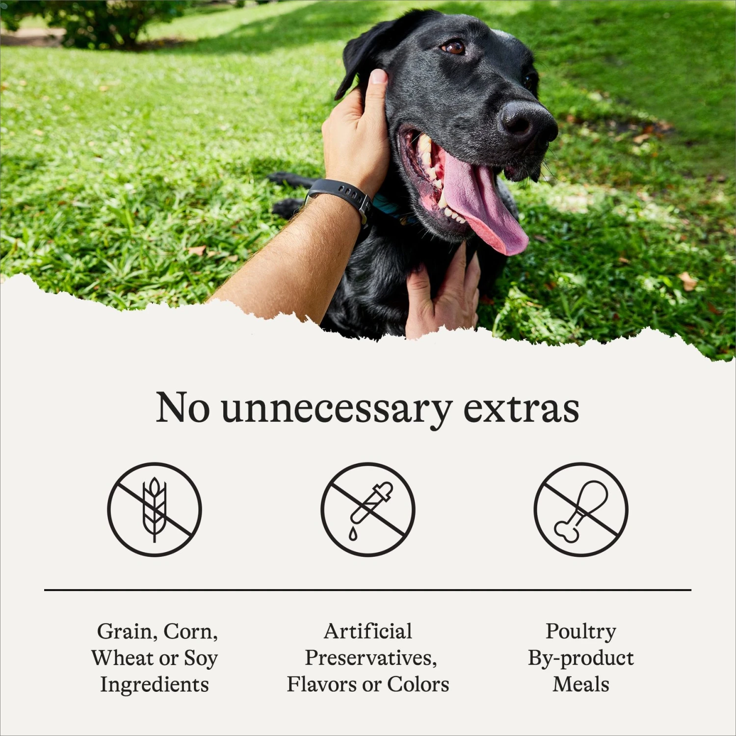 American Journey Savory Toppers Chicken Recipe In Gravy Grain-Free Dog Food Topper, 3-oz Pouches, Case Of 24 7 American Journey Savory Toppers Chicken Recipe In Gravy Grain-Free Dog Food Topper, 3-oz Pouches, Case Of 24 - Image 7