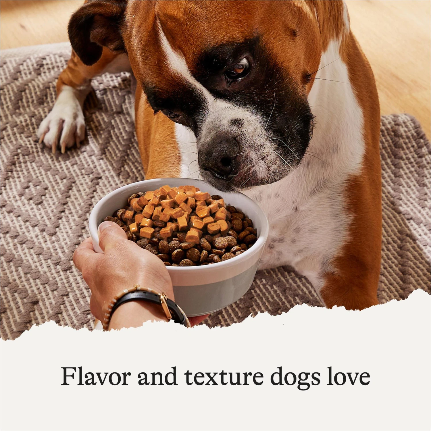 American Journey Savory Toppers Salmon Recipe In Gravy Grain-Free Dog Food Topper, 3-oz Pouches, Case Of 24 4 American Journey Savory Toppers Salmon Recipe In Gravy Grain-Free Dog Food Topper, 3-oz Pouches, Case Of 24 - Image 4